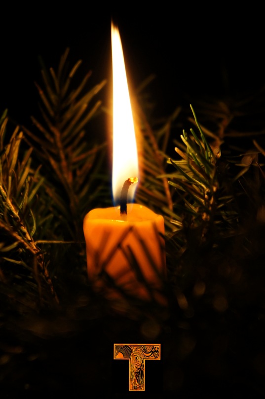 Тимур Рысаев фотография #37