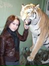 Фотография Пицхелаури Давид
