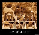 Андрій Котович фотография #41 (источник - https://vk.com/id3613472)