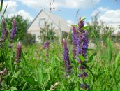 Марія Манко фотография #35 (источник - https://vk.com/id21332115)