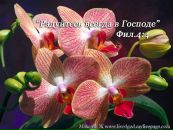 Андрій Ленько фотография #22 (источник - https://vk.com/id89376220)