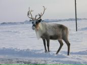 Фотография Дмитрова Дмитрия