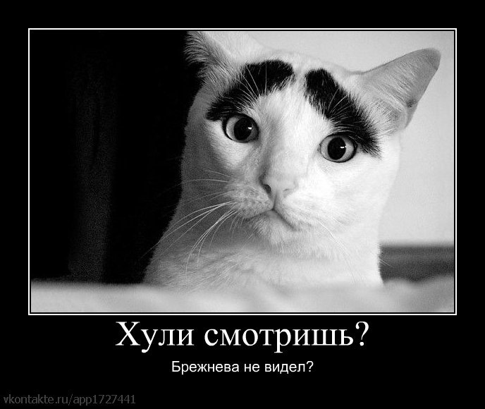 Игорь Борисов фотография #21