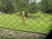 Вова Лаврів фотография #32 (источник - https://vk.com/id119605052)