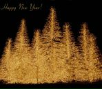 Ніколь ........ фотография #17 (источник - https://vk.com/id102902914)