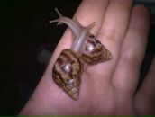 Фотография Ильичёвой Ланы