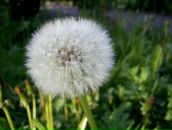 Сергій Мельник фотография #8 (источник - https://vk.com/id24399783)