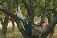 Фотография Краевой Ольги