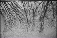 Дарья Козел фотография #47 (источник - https://vk.com/id517013)