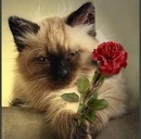 Ілюша Попюк фотография #40 (источник - https://vk.com/id148064056)