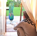 Фотография Петрунина Михаила