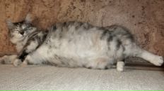 Фотография Бауновой Ольги