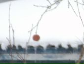 Фотография Потаповой Елены