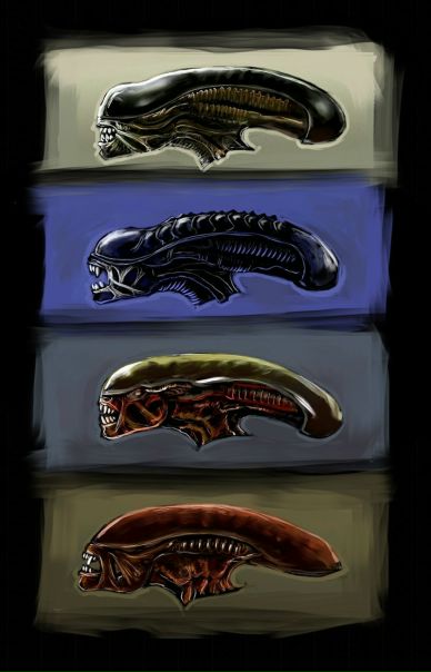 Alien Prometheus фото №4