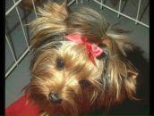 Каринка :))) фотография #31 (источник - https://vk.com/id88401957)