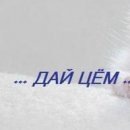 Олексій Карлов фотография #29 (источник - https://vk.com/id154805459)