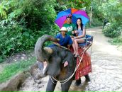 Фотография Крутиковой Светланы