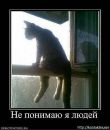Діма Капронов фотография #45 (источник - https://vk.com/id134714801)