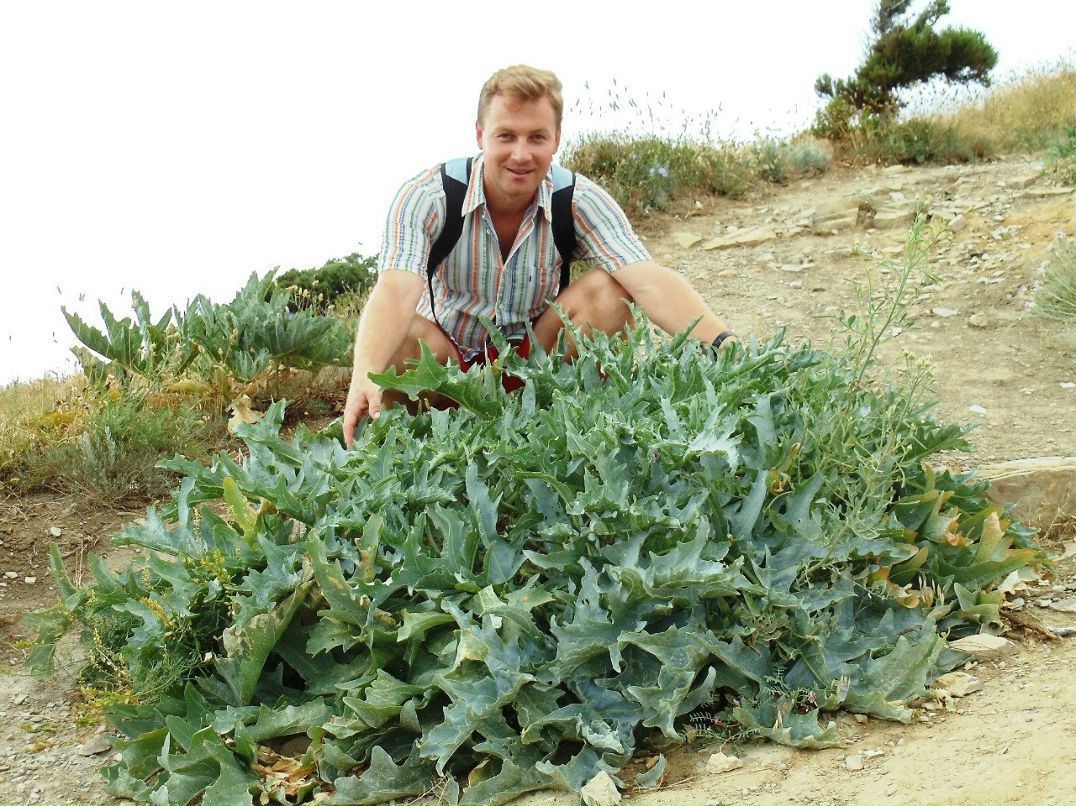 Дмитрий Михайлов фотография #3