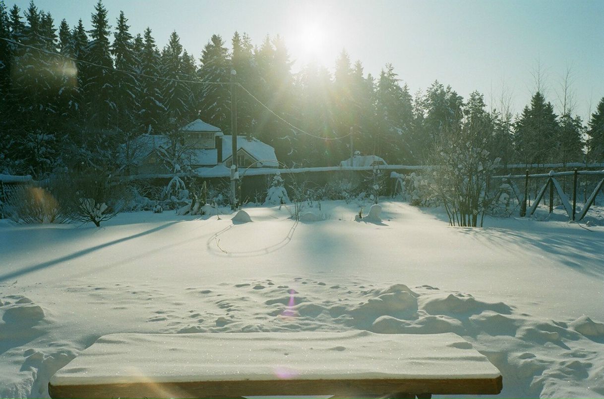 Paulina Dernova фотография #26