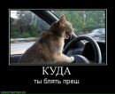 Фотография Шутя Станислава