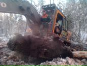 Фотография Силина Толяна