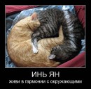 Оля Мунтян фотография #36 (источник - https://vk.com/id13857852)