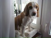 Фотография Зубенко Артёма