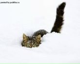 Фотография Кузьминой Галины