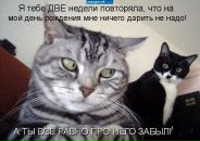 Андрій Стахів фотография #26 (источник - https://vk.com/id23311458)