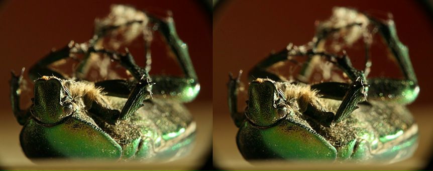 Рустам Бакеев фотография #41