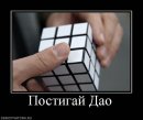 Collo Bot фотография #33 (источник - https://vk.com/id3856759)