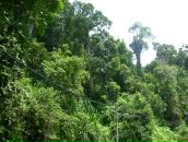 Валерий Иванов фотография #18 (источник - https://vk.com/id3000426)