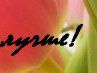 Марія Бидзюра фотография #25 (источник - https://vk.com/id15008687)