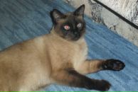 Фотография Пановой Кристи