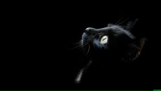 Фотография Стерховой Лены