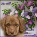 Игорь Рожков фотография #22 (источник - https://vk.com/id156681784)