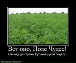 Пєтька Мазярчук фотография #37 (источник - https://vk.com/id67597186)