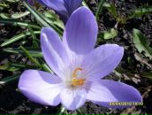 Іванка Михалик фотография #14 (источник - https://vk.com/id110507786)