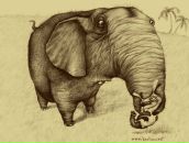 Фотография Васильевой Кристины