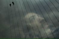 Мариам Давыдова фотография #26 (источник - https://vk.com/id900346)