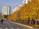 Віка Власюк фотография #11 (источник - https://vk.com/id23189143)