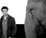Robert Pattinson фотография #7 (источник - https://vk.com/id136880235)