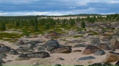 Эйно Роц фотография #15 (источник - https://vk.com/id119362)