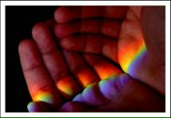 Фотография Chaus Felis