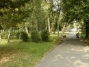 Софія Зацепанюк фотография #16 (источник - https://vk.com/id68938798)