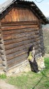 Іван Сандуляк фотография #43 (источник - https://vk.com/id25048941)