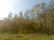 Мирослав Збірко фотография #44 (источник - https://vk.com/id87492158)