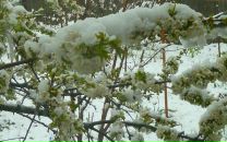 Фотография Шадриной Татьяны