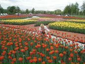 Фотография Кузьминовой Кристины